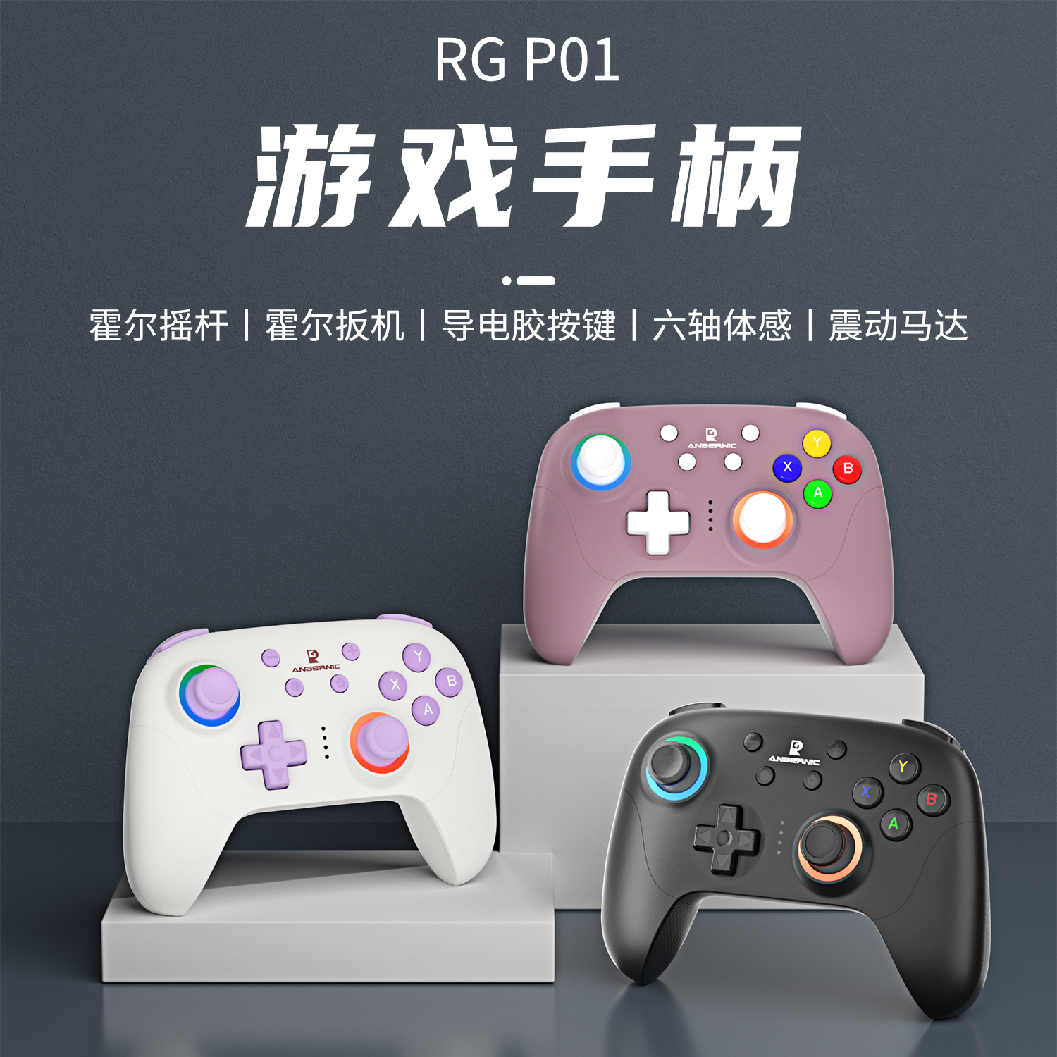 RG P01(图1)