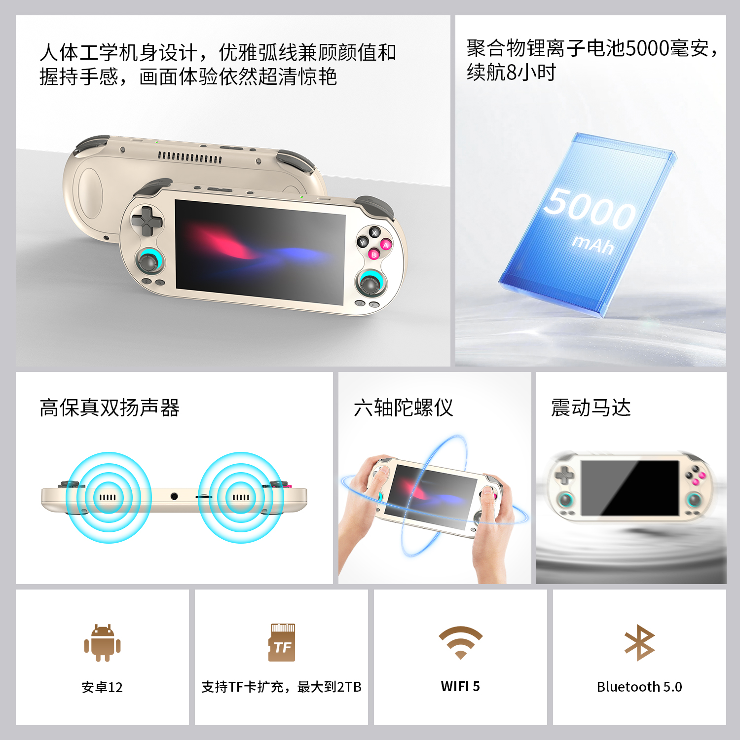 RG VITA(图6)