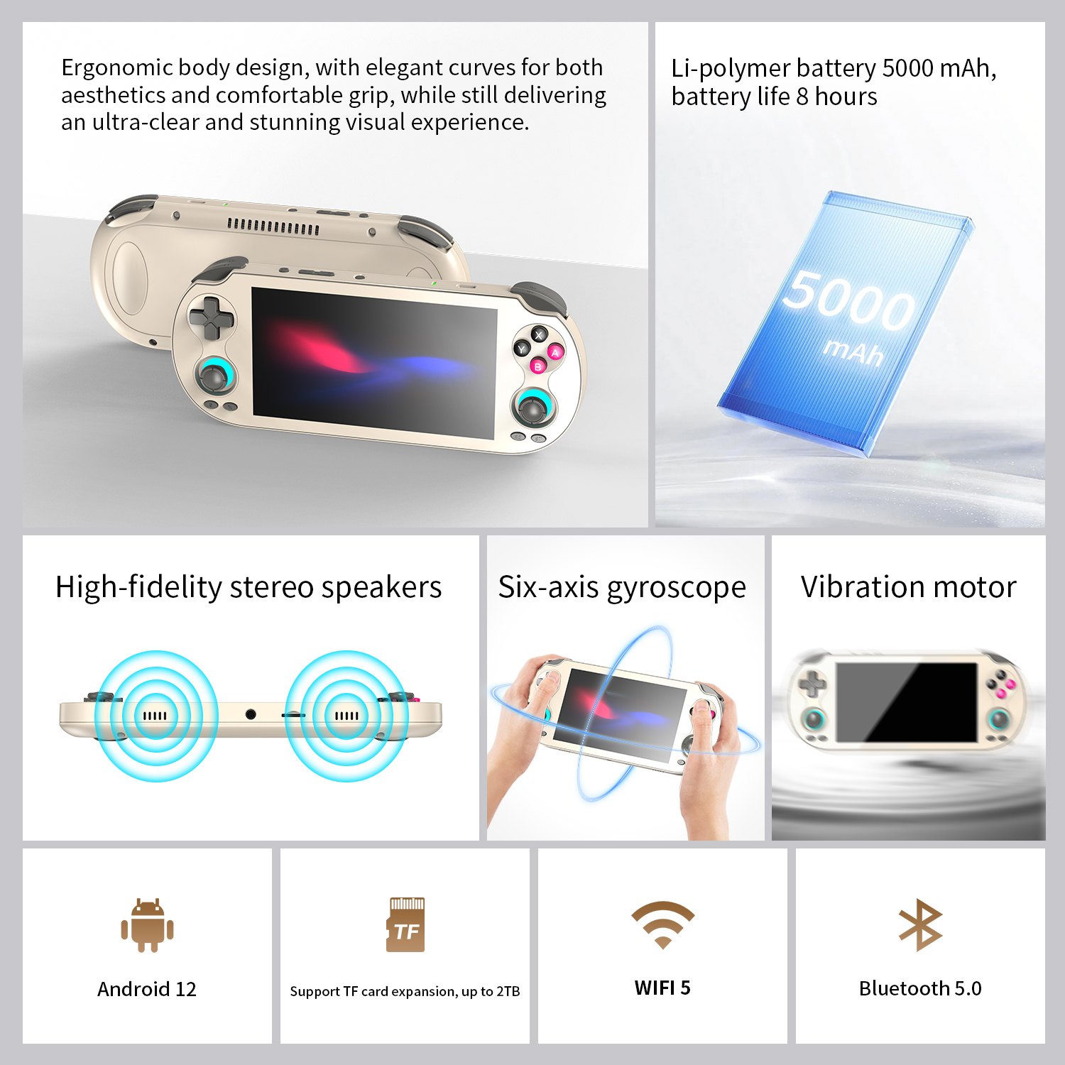 RG VITA(图6) RG VITA(图6)